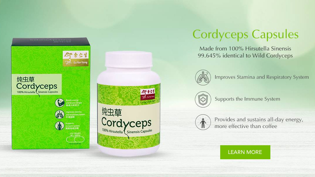 Cordyceps for Everyday Wellness: Understanding Its Traditional Benefits