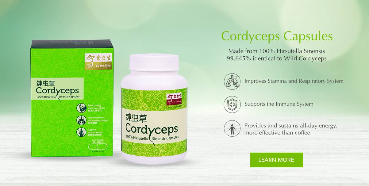 Cordyceps for Everyday Wellness: Understanding Its Traditional Benefits
